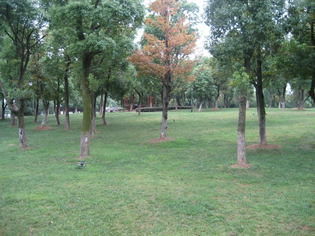 photo3.jpg