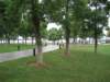 photo4_small.jpg