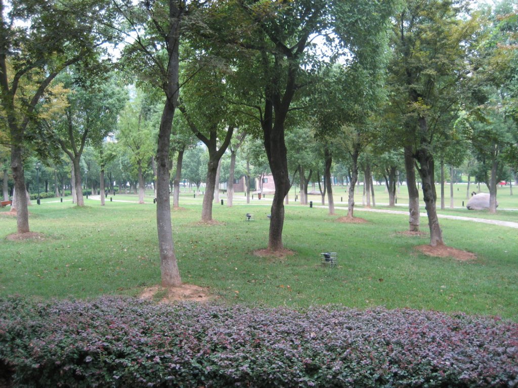 photo5.jpg