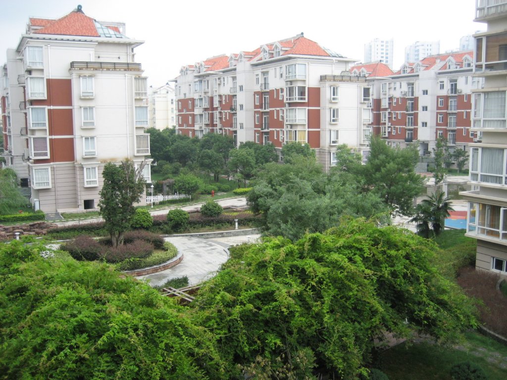 photo.jpg