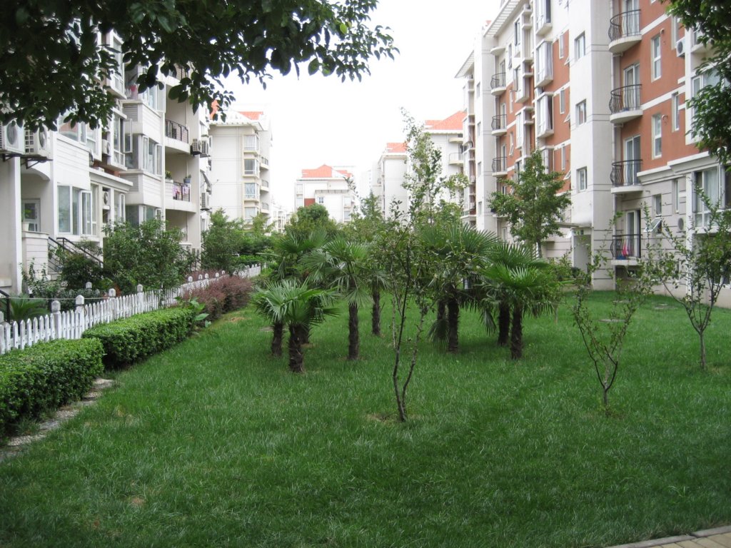 photo13.jpg