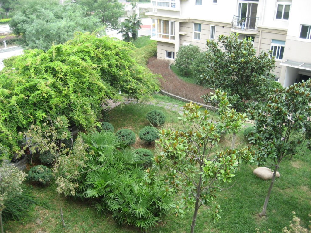 photo2.jpg