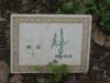 photo124_small.jpg