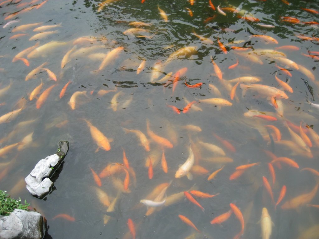 photo23.jpg