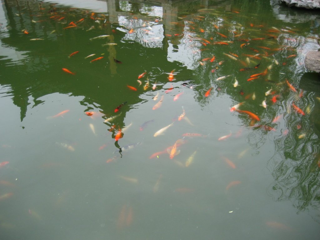 photo74.jpg