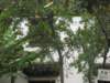 photo98_small.jpg