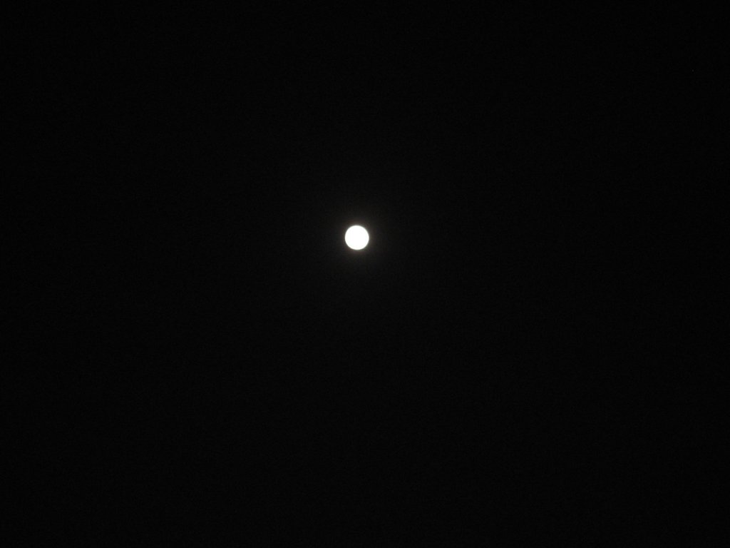 photo.jpg